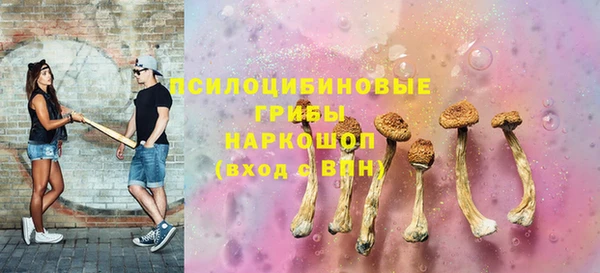 a pvp Ростов
