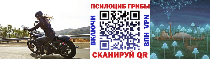 Галлюциногенные грибы Psilocybine cubensis  купить   Славянск-на-Кубани 
