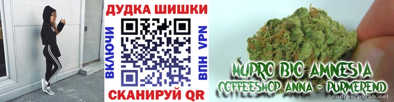 МАРИХУАНА конопля Славянск-на-Кубани